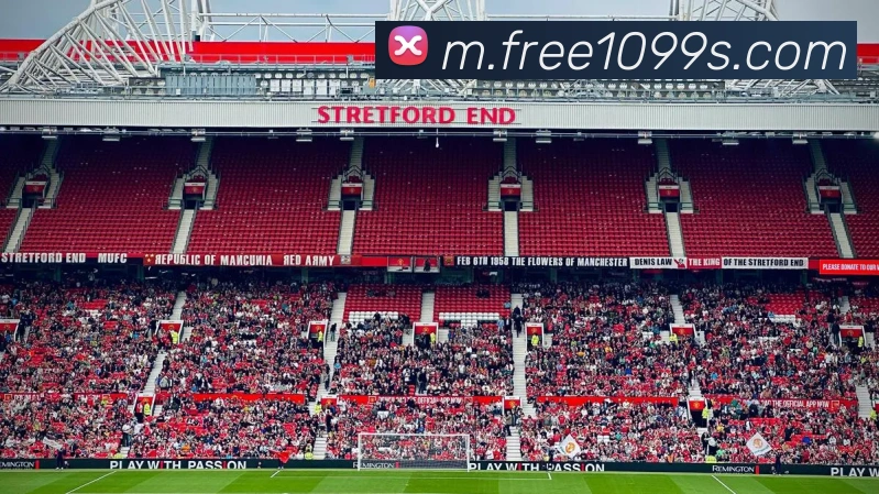 平台展示图